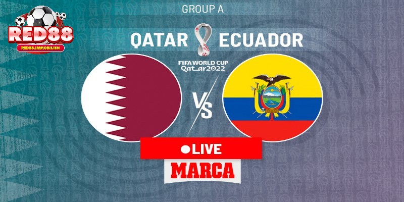 qatar-vs-ecuador-anh-dai-dien