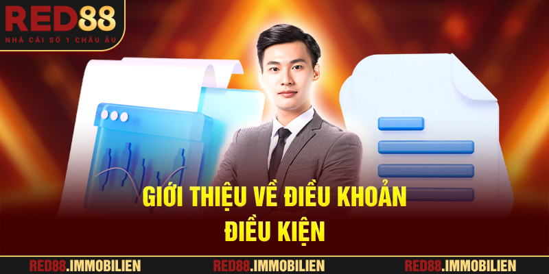Giới thiệu về Điều khoản điều kiện