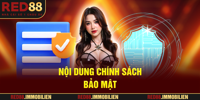 Nội dung chính sách bảo mật